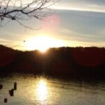 Profile photo of Marti